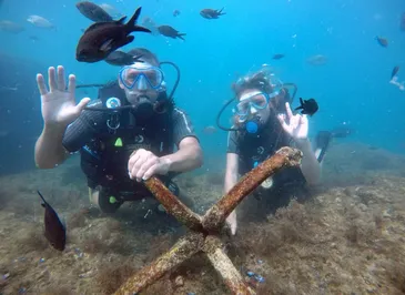 Базовый курс дайвинга. Open Water Diver (Геленджик)