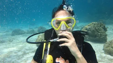 Базовый курс дайвинга. Open Water Diver (Геленджик)