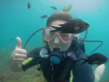 Базовый курс дайвинга. Open Water Diver (Геленджик)